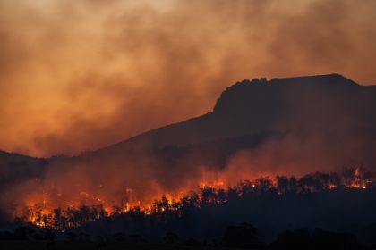 Dichiarazione dello stato di grave pericolosità per gli incendi boschivi Dichiarazione dello stato di grave pericolosità per gli incendi boschivi